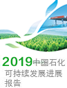 2019年可持續發展進展報告